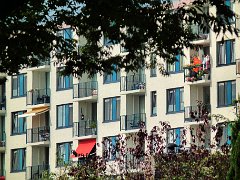 1308 Eindhoven - Hool 017
