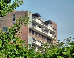 1308 Eindhoven - Hool 022